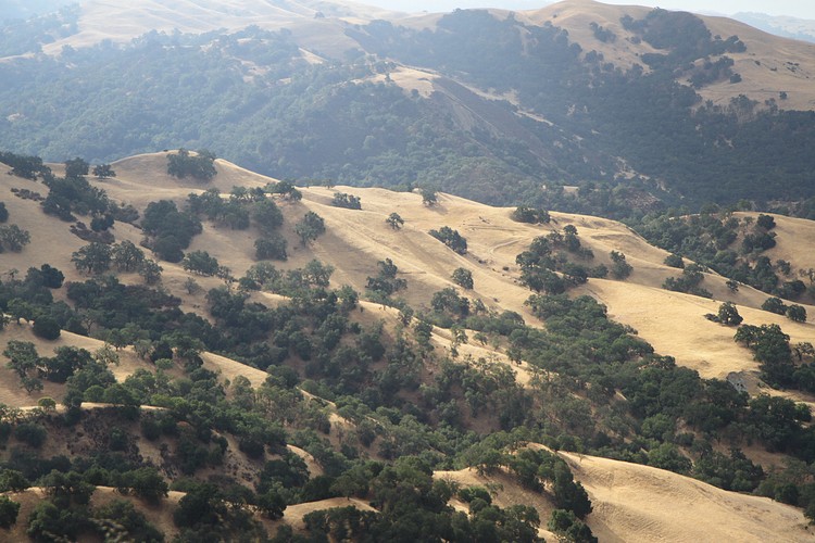 Sunol Regional Park