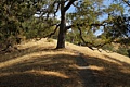 Sunol Regional Park - October 21, 2012