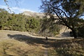 Flag Hill Trail