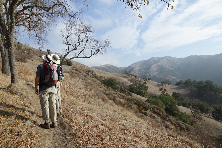 Randy and Leonard examine a tree