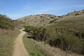 Windy Hill Open Space Preserve - February 5, 2012