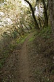 Razorback Ridge Trail