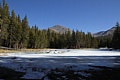 Frozen Pond