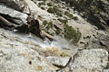 Upper Yosemite Falls