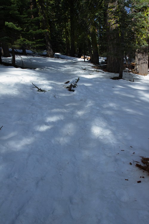 Dewey Point Meadow Trail