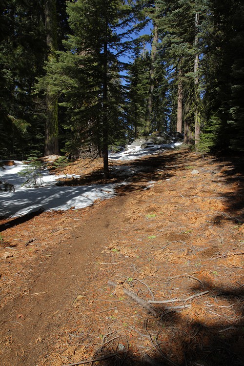Dewey Point Meadow Trail