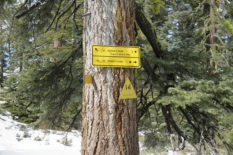 Dewey Point Trail junction