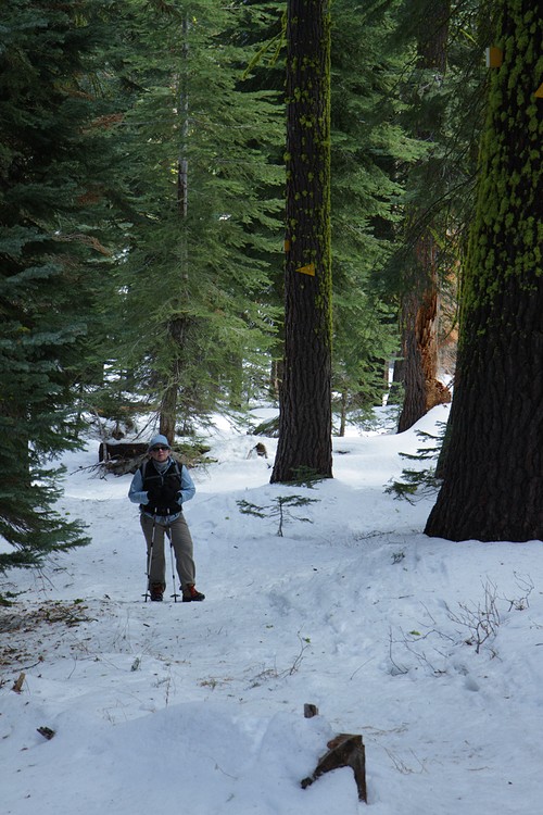 Diane on the Dewey Point Ridge Trail