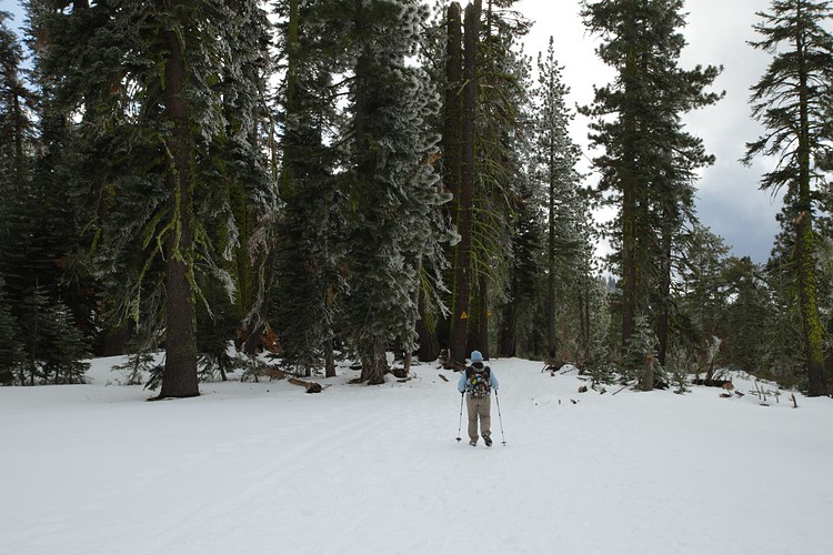 Diane on the Dewey Point Ridge Trail