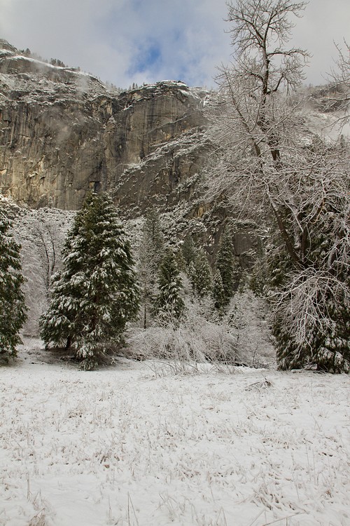 Yosemite Valley