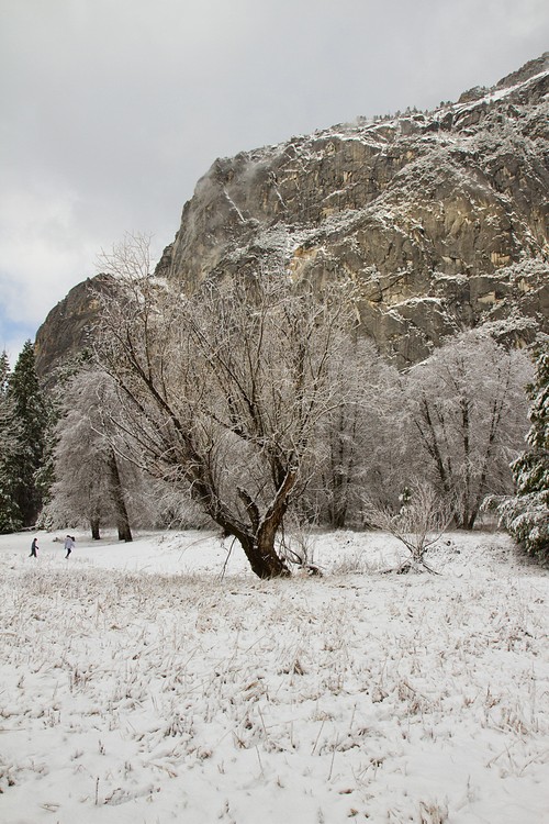 Yosemite Valley