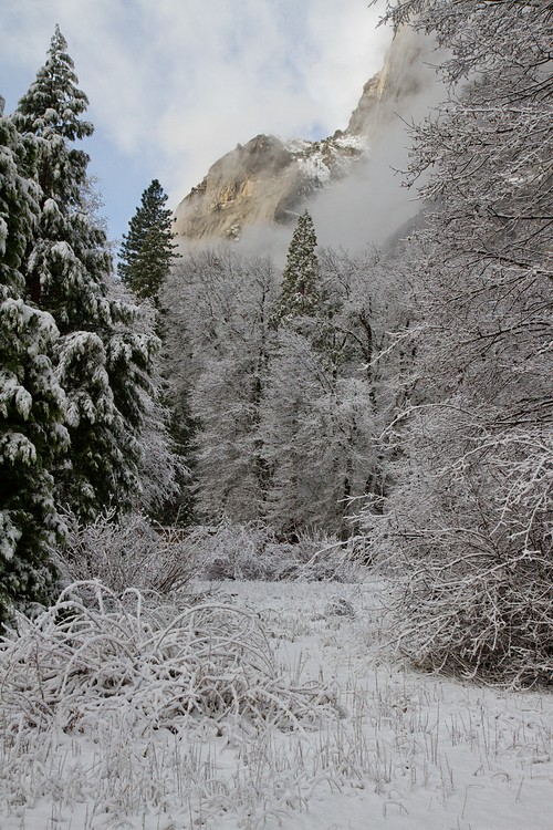 Yosemite Valley