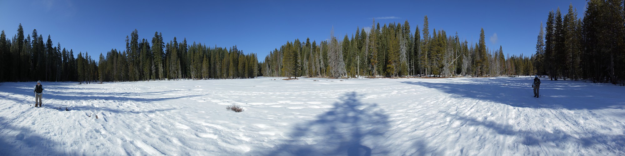 Dewey Point Meadow Trail