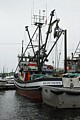 Ketchikan fishing fleet
