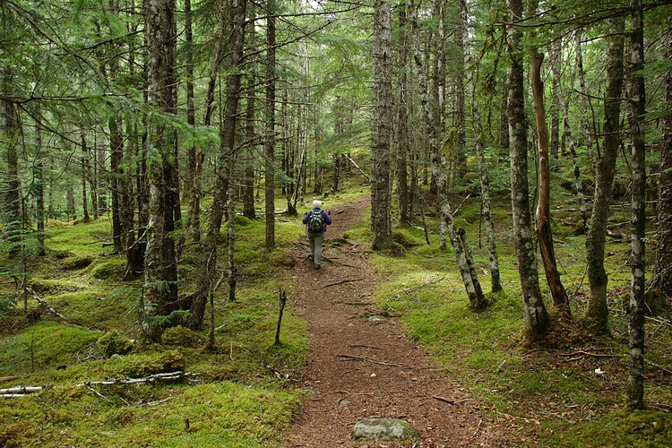Dewey Lake Loop Trail