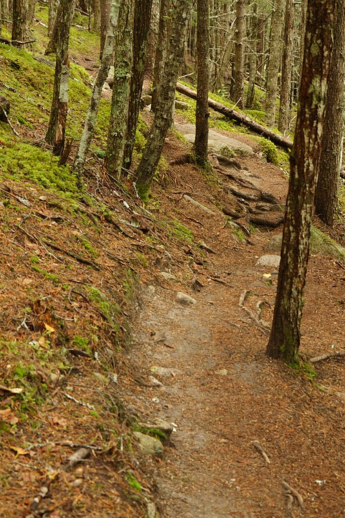 Dewey Lake Loop Trail