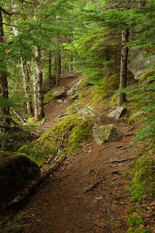 Dewey Lake Loop Trail
