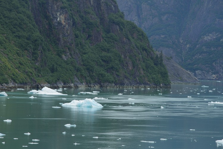 Tracy Arm