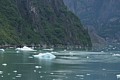 Tracy Arm