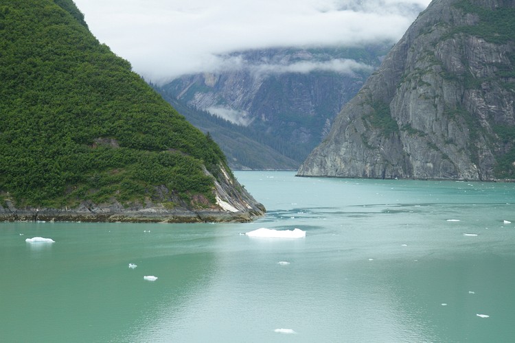 Tracy Arm