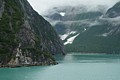 Tracy Arm