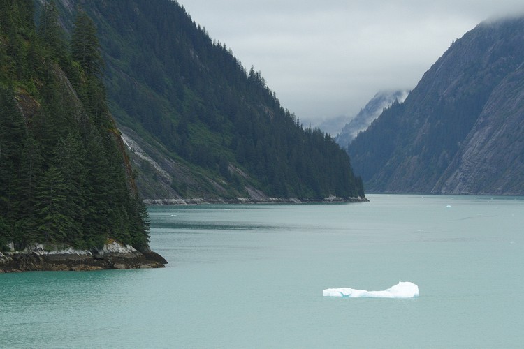 Tracy Arm