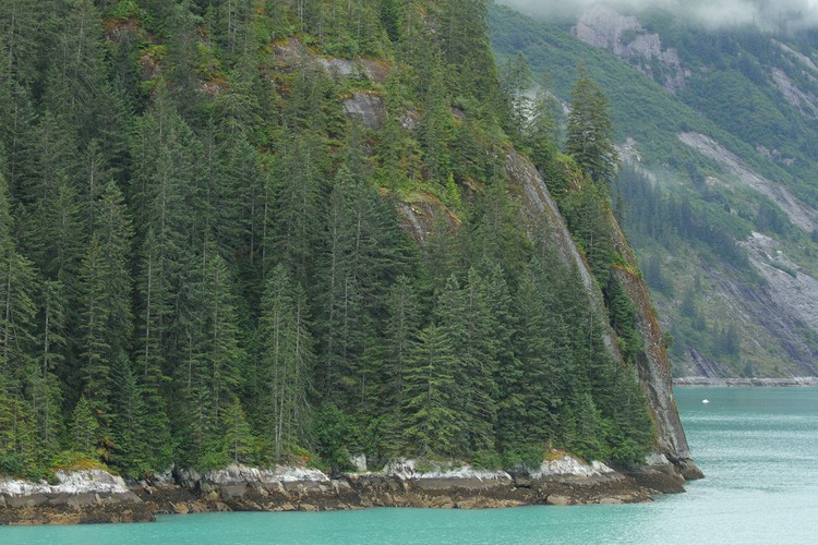 Tracy Arm shoreline