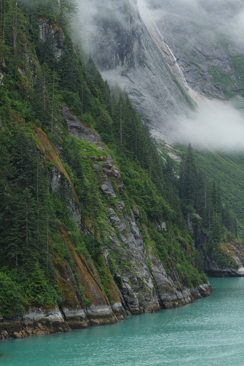 Tracy Arm shoreline
