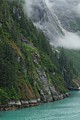 Tracy Arm shoreline