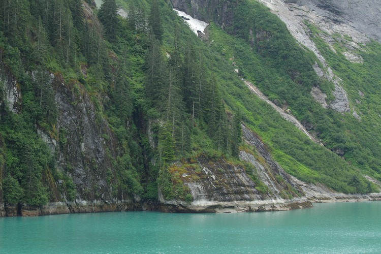 Tracy Arm shoreline