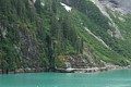 Tracy Arm shoreline