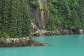 Tracy Arm shoreline