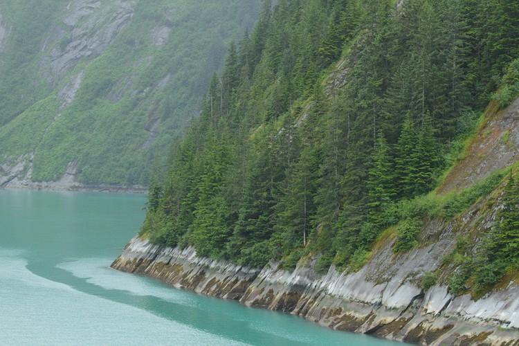 Tracy Arm shoreline