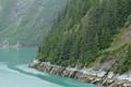 Tracy Arm shoreline