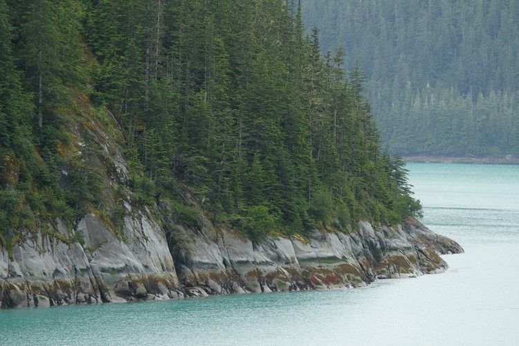 Tracy Arm shoreline