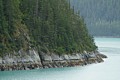 Tracy Arm shoreline
