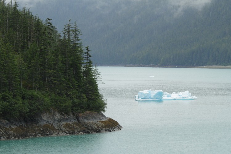 Iceberg in Tracy Arm