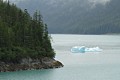 Iceberg in Tracy Arm