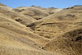 Monument Peak