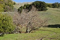 Agua Caliente Trail