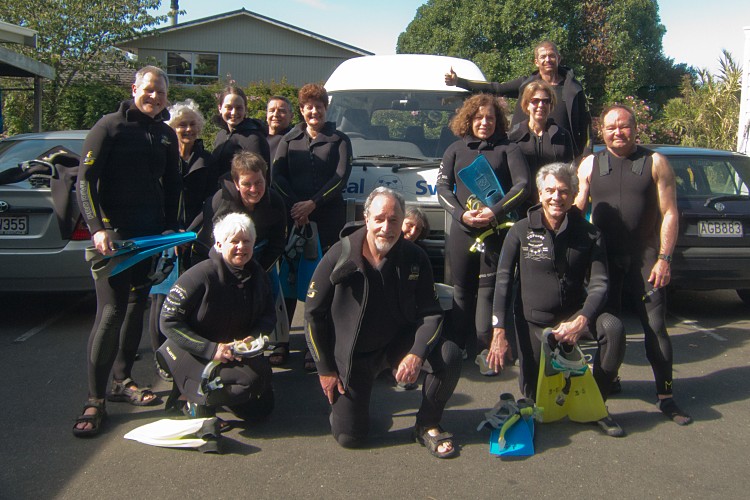 Kaikoura snorkelers