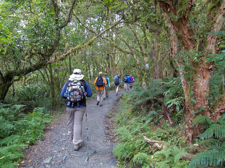 Routeburn Track