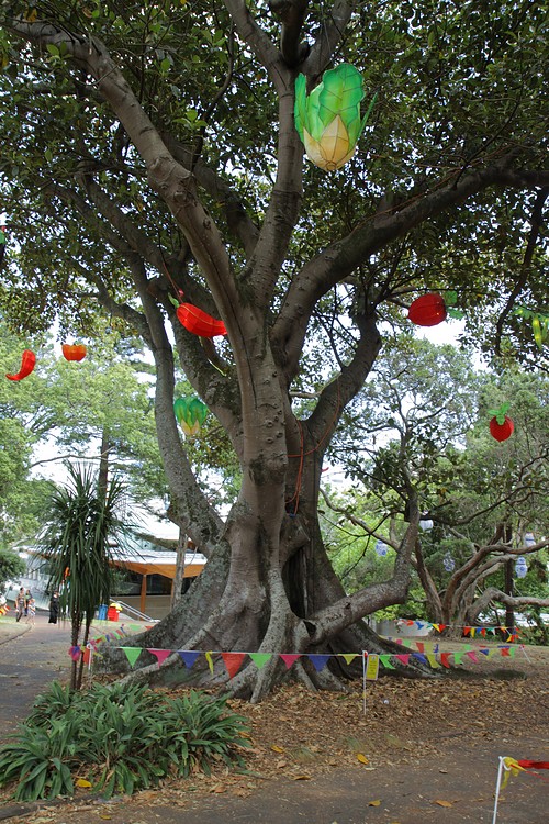 Chinese Lantern Festival in Albert Park
