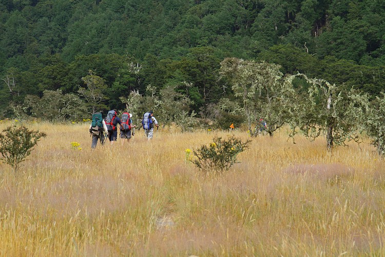 Trampers leaving the Lakehead Hut