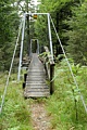 Shift Creek foot-bridge