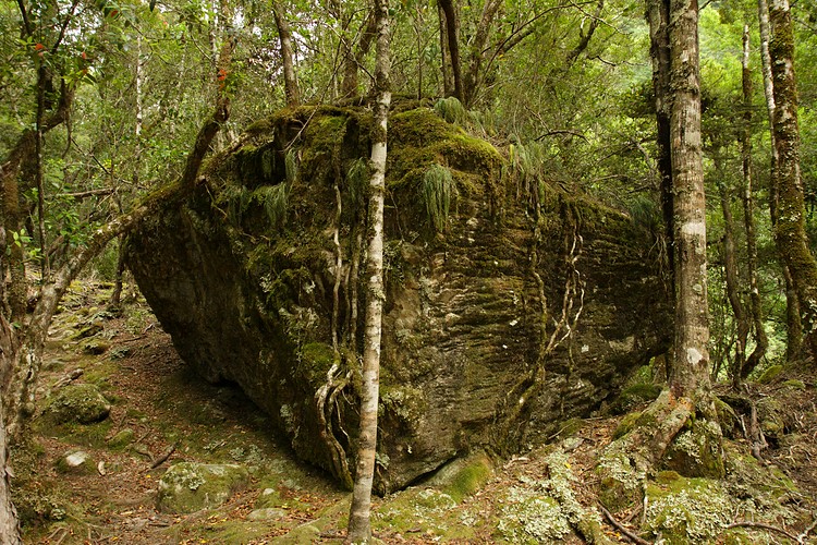 Mossy rock