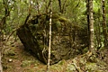 Mossy rock