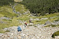 Cascade Track - scree slope