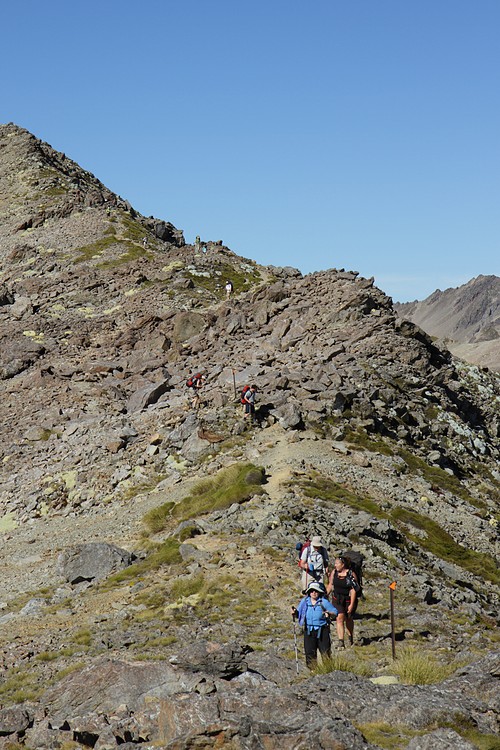 Trampers on Roberts Ridge Route