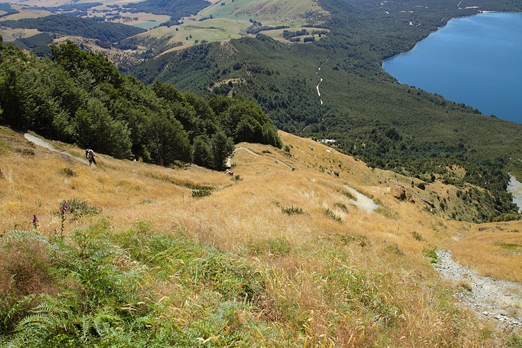Pinchgut Track